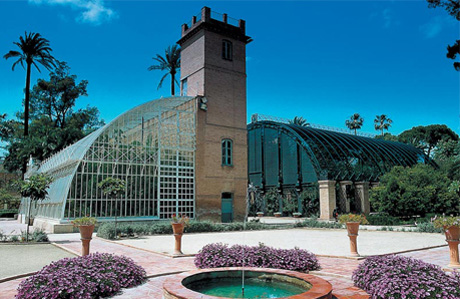 jardín botánico Valencia