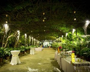 evento jardín botánico Valencia